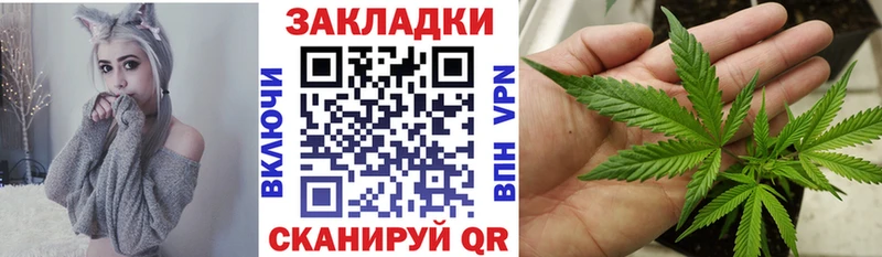 Цена Нижнеудинск Псилоцибиновые грибы ГАШ