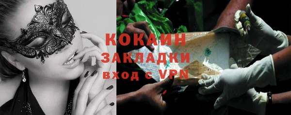 стафф Алексин