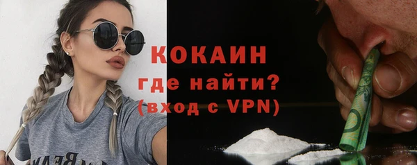 стафф Алексин