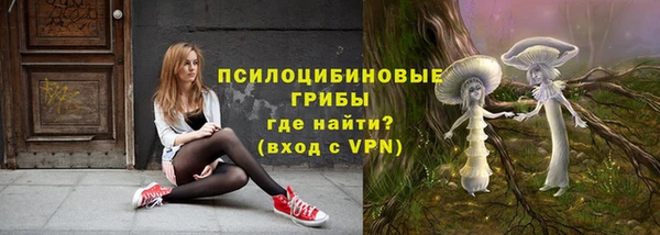 стафф Алексин