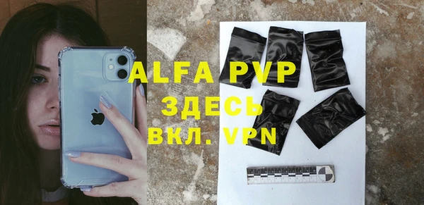 стафф Алексин