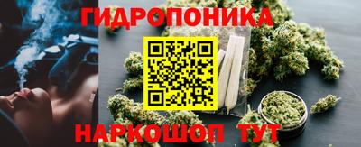 прущие крисы Краснознаменск