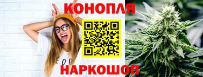прущие крисы Краснознаменск