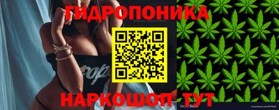 прущие крисы Краснознаменск