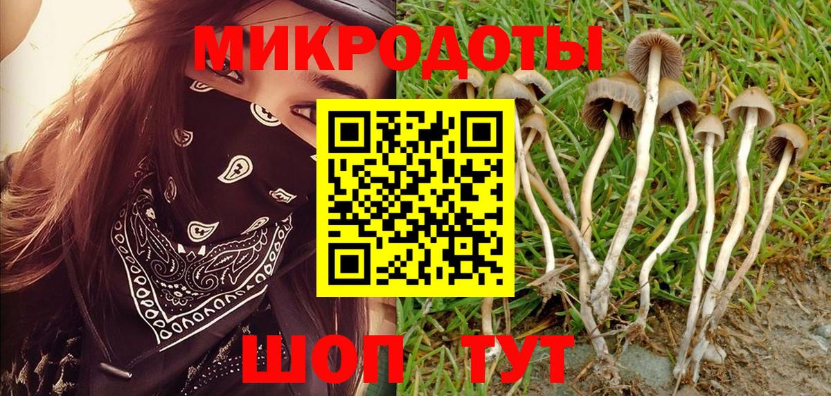 Галлюциногенные грибы Psilocybine cubensis  Вход с VPN  Нижнеудинск  Псилоцибиновые грибы прущие грибы 
